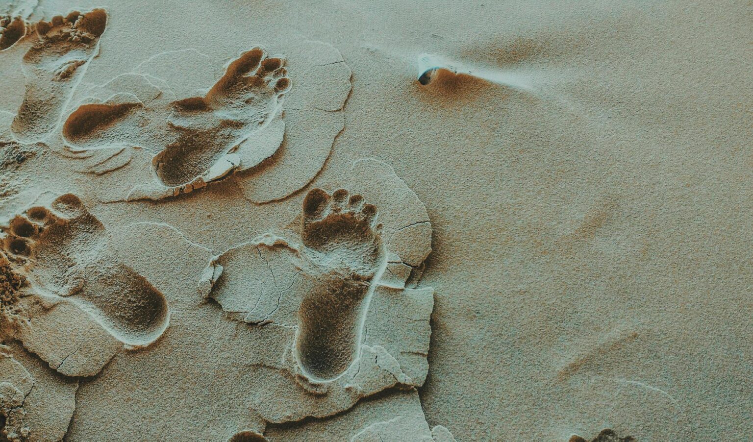 Close-up of footprints imprinted in sandy beach terrain, displaying unique patterns and textures.