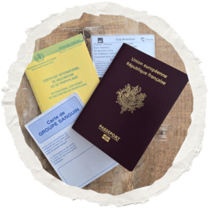Passeport français, carnet de vaccination, carte de groupe sanguin et certificat d’assurance posés sur une table.