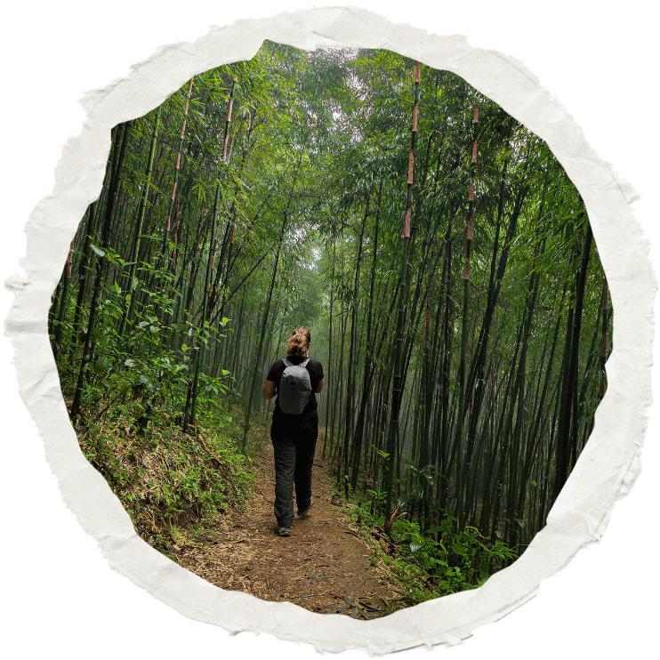 Magalie marchant seule dans une forêt de bambous en Chine, lors d’une randonnée en pleine nature.