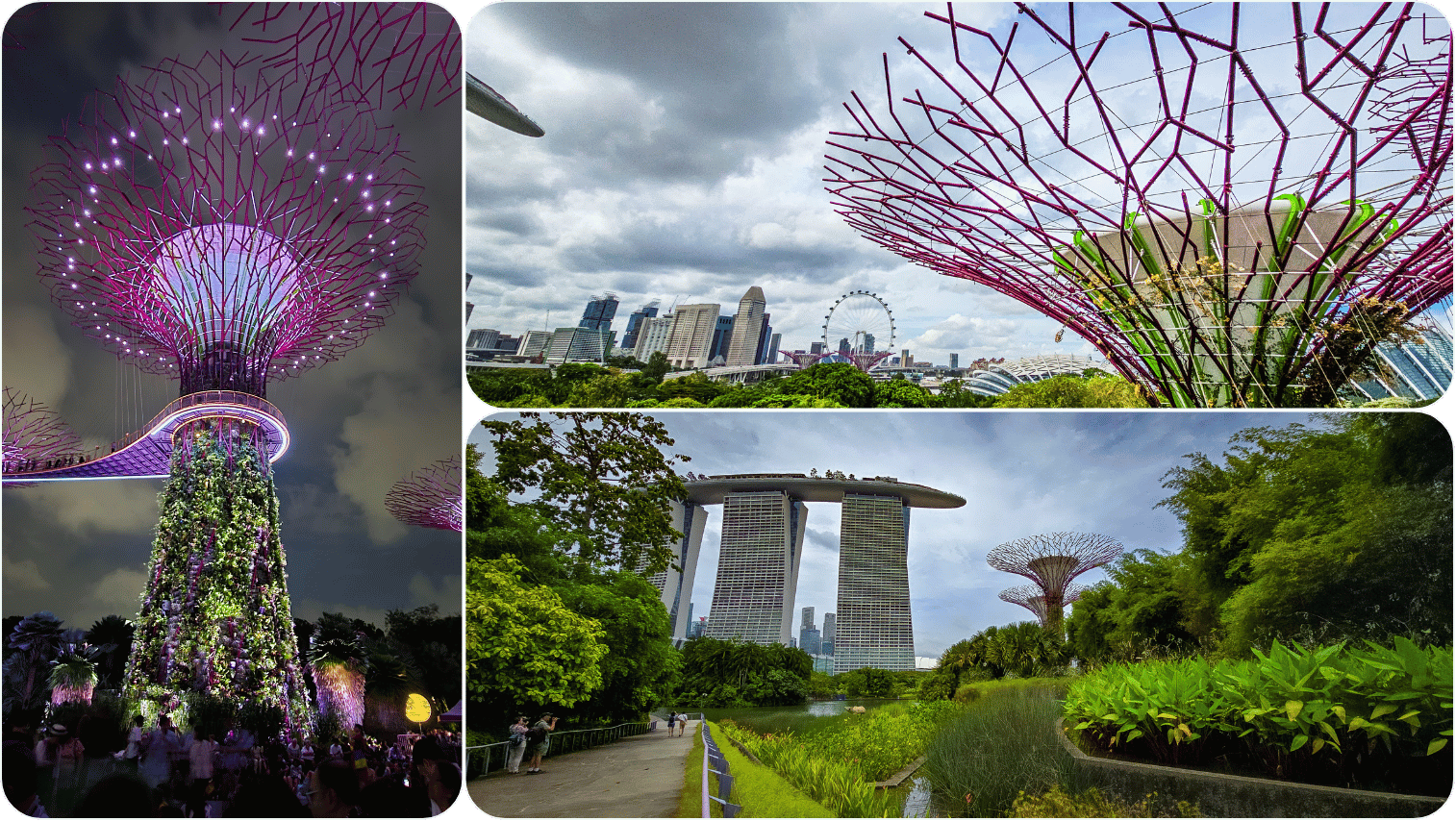 Les Supertrees illuminés de nuit, vue sur le Singapore Flyer et la skyline depuis Gardens by the Bay, et Marina Bay Sands depuis les jardins