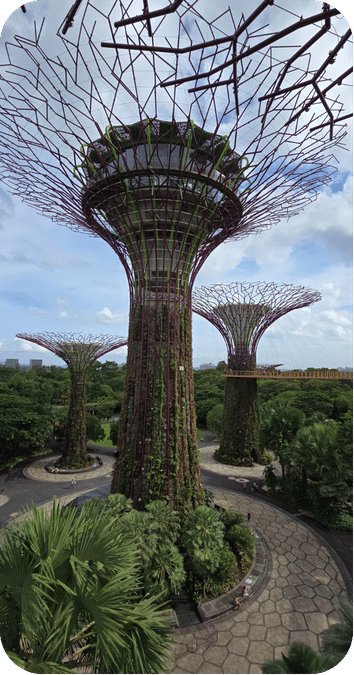 Supertree de jour dans le Gardens by the Bay de Singapour
