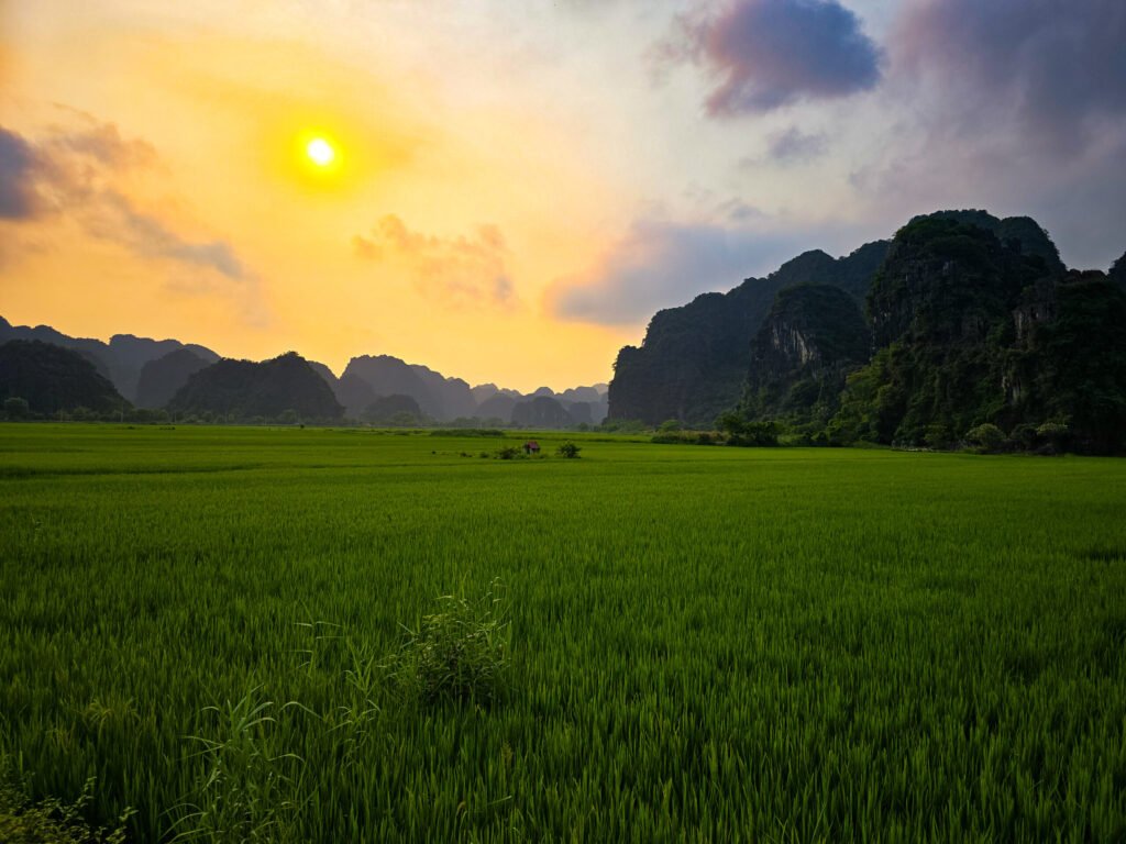 Paysage de Tam Coc dans la province de Ninh Binh au Vietnam